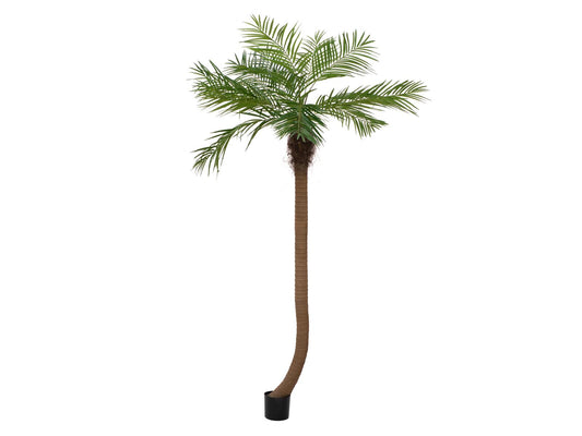 Europalms Phönixpalme luxor gebogen, Kunstpflanze, 240cm – Ansicht 2