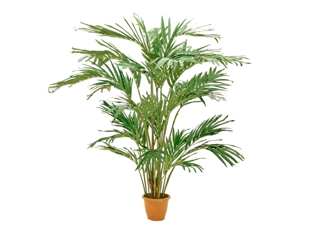 Europalms Kanarische Dattelpalme, Kunstpflanze, 240cm