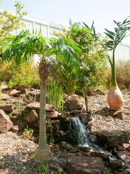 Europalms Phönix Palme, Kunstpflanze, 240cm – Ansicht 7