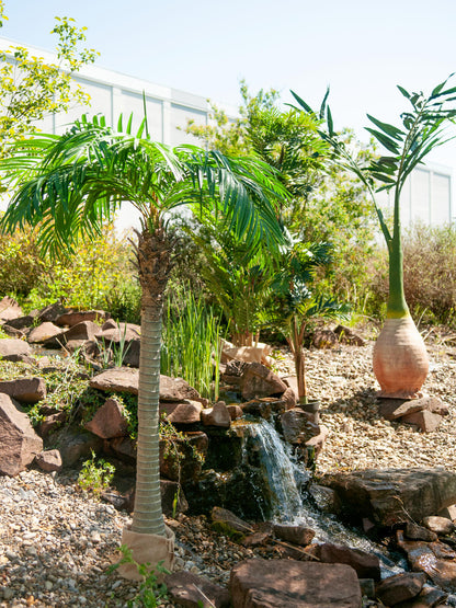 Europalms Phönix Palme, Kunstpflanze, 240cm – Ansicht 8