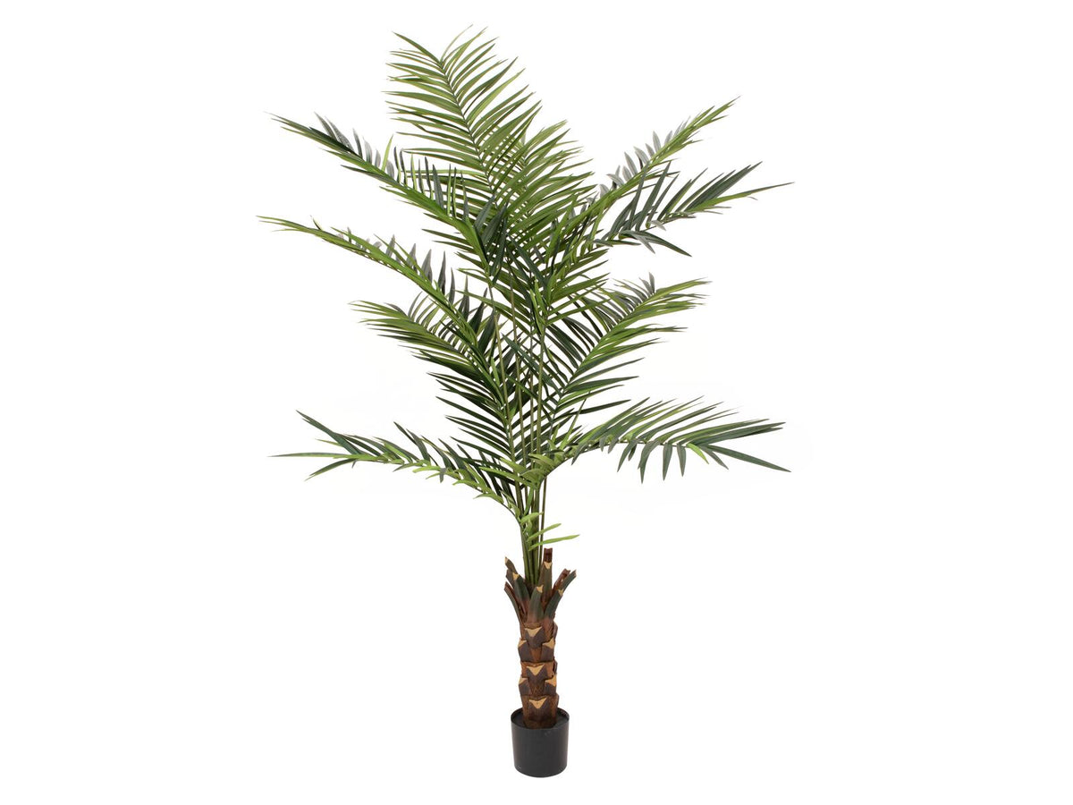 Europalms Kentia Palme, Kunstpflanze, 240cm – Ansicht 2
