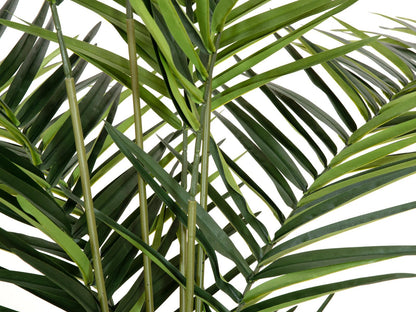 Europalms Kentia Palme, Kunstpflanze, 240cm – Ansicht 3