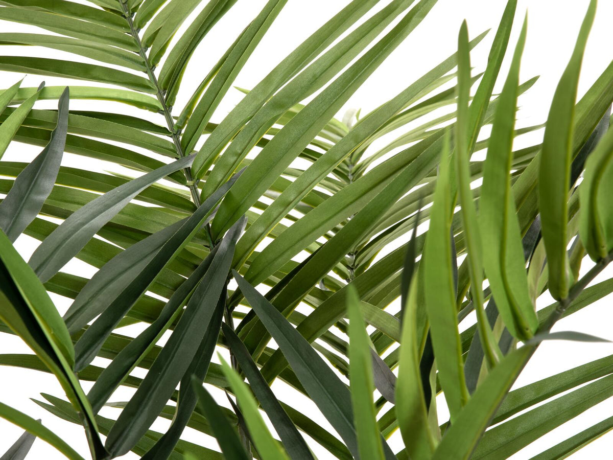 Europalms Kentia Palme, Kunstpflanze, 240cm – Ansicht 4
