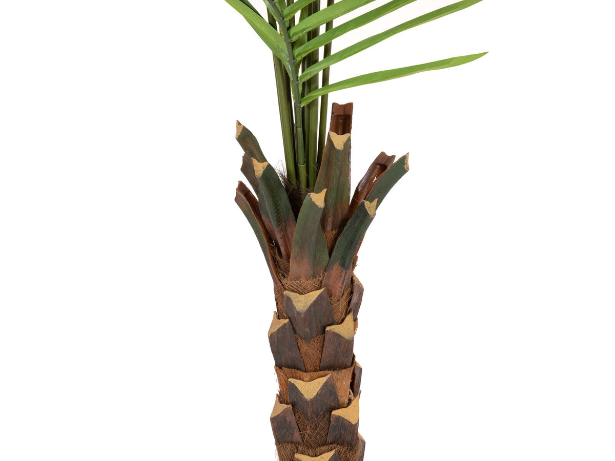 Europalms Kentia Palme, Kunstpflanze, 240cm – Ansicht 5