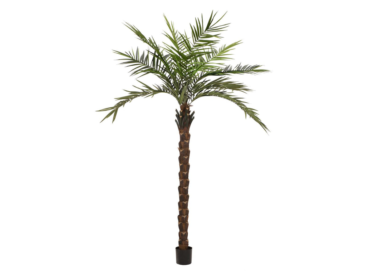 Europalms Kentia Palme deluxe, Kunstpflanze 300cm