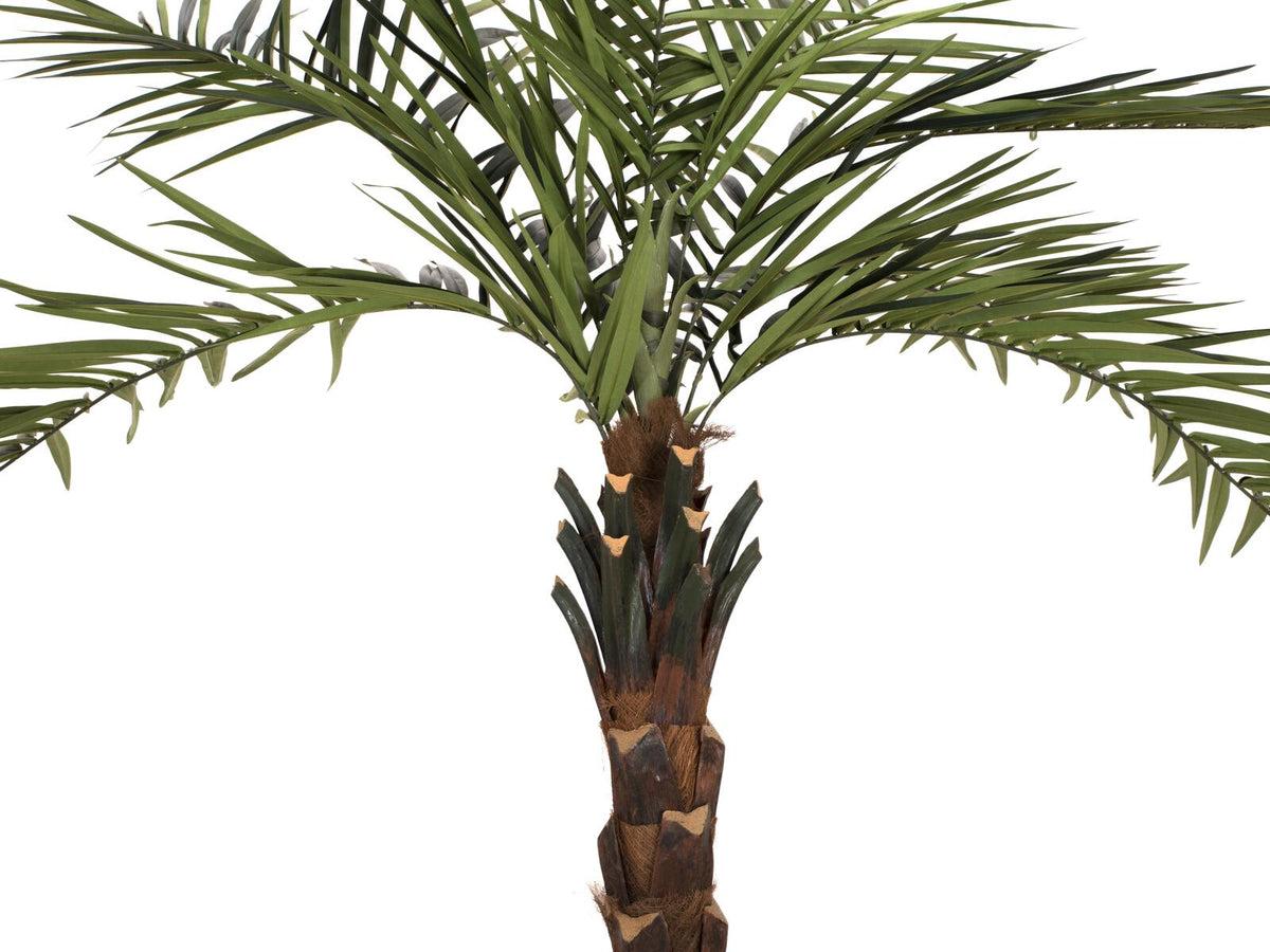Europalms Kentia Palme deluxe, Kunstpflanze 300cm – Ansicht 2