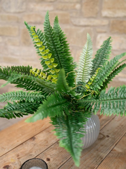 Europalms Boston Farn, Kunstpflanze, 53cm – Ansicht 5