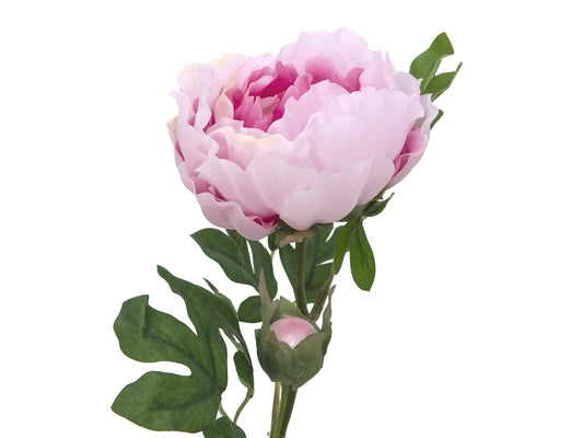 Europalms Pfingstrosenzweig Classic, Kunstpflanze, pink, 80cm – Ansicht 2