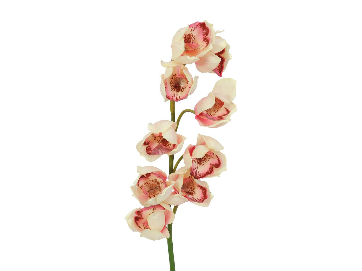 Europalms Cymbidiumzweig, künstlich, creme-pink, 90cm – Ansicht 2