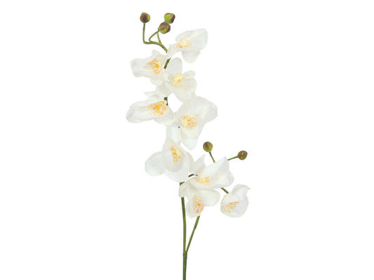 Europalms Orchideenzweig, künstlich, creme-weiß, 100cm – Ansicht 2