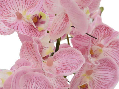 Europalms Orchideen-Arrangement (EVA), künstlich, lila – Ansicht 2