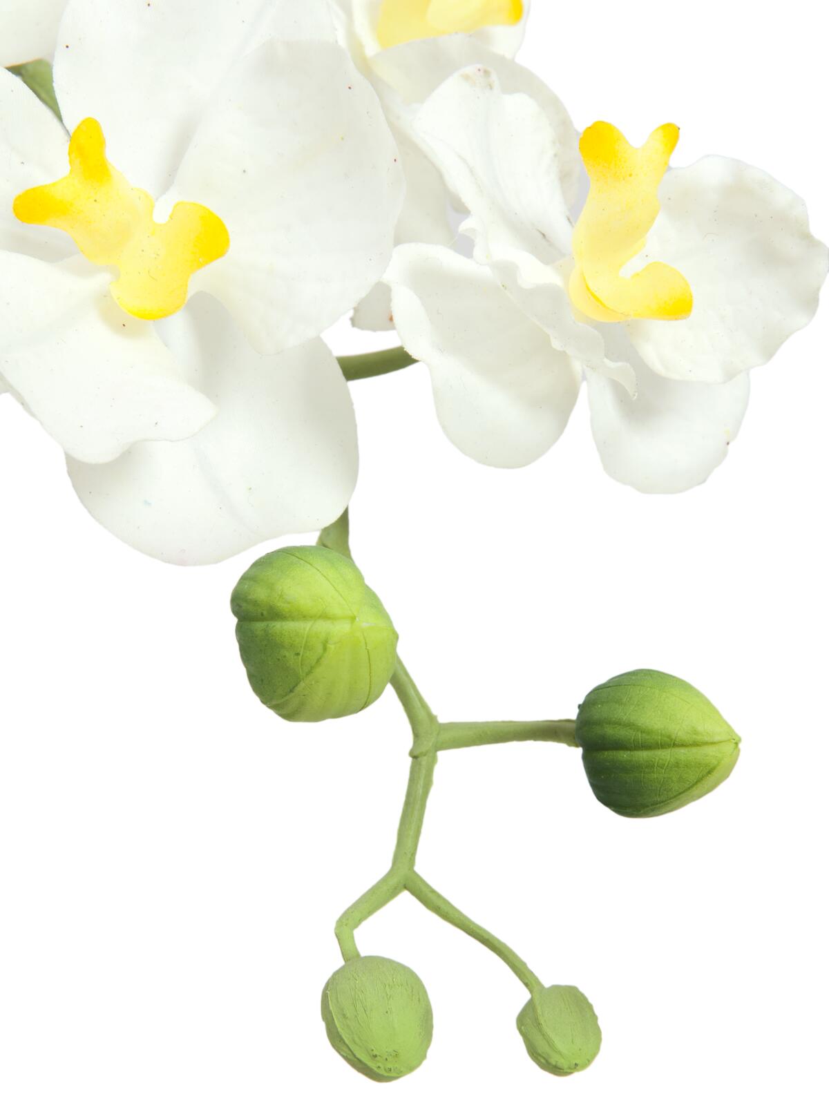 Europalms Orchideen-Arrangement 1, künstlich – Ansicht 2
