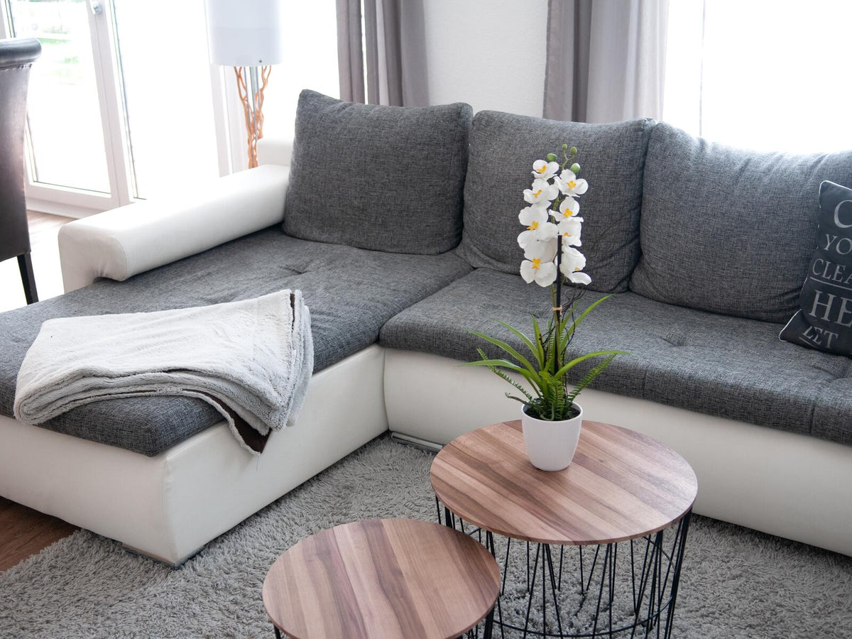 Europalms Orchideen-Arrangement 1, künstlich – Ansicht 3