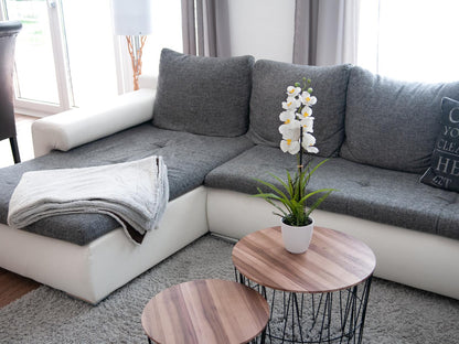 Europalms Orchideen-Arrangement 1, künstlich – Ansicht 3