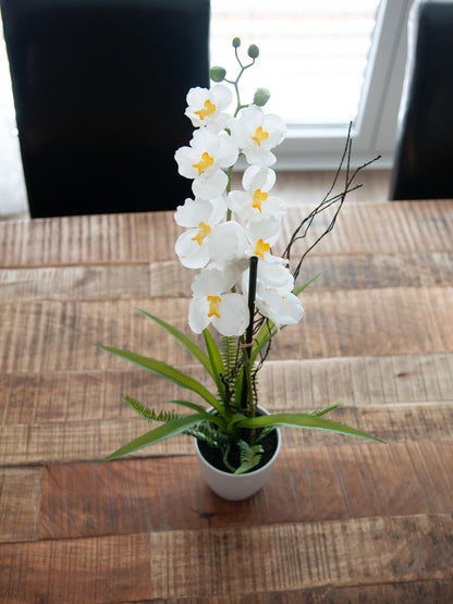 Europalms Orchideen-Arrangement 1, künstlich – Ansicht 5