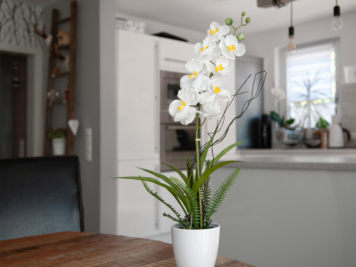 Europalms Orchideen-Arrangement 1, künstlich – Ansicht 10