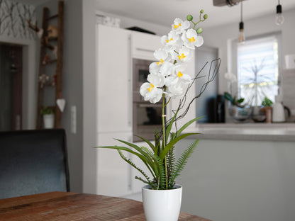 Europalms Orchideen-Arrangement 1, künstlich – Ansicht 10