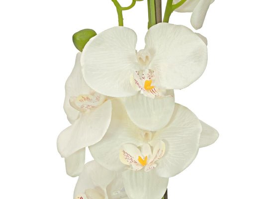 Europalms Orchidee, Kunstpflanze, cremefarben, 80cm – Ansicht 2