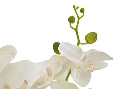 Europalms Orchidee, Kunstpflanze, cremefarben, 80cm – Ansicht 3
