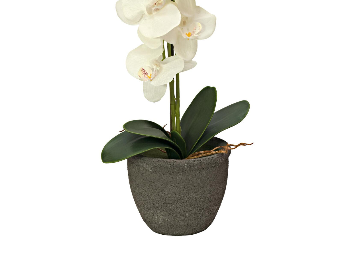 Europalms Orchidee, Kunstpflanze, cremefarben, 80cm – Ansicht 4