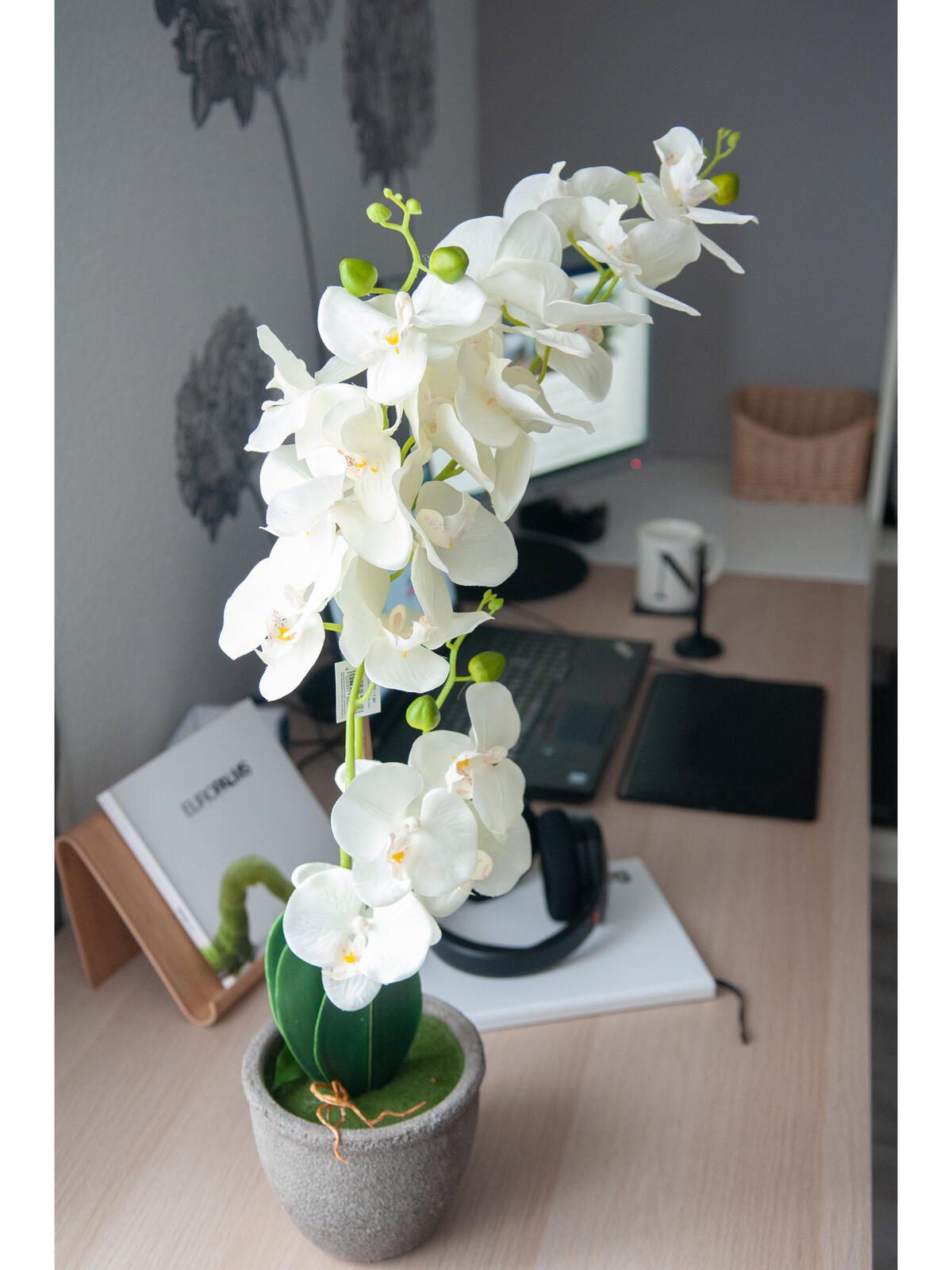 Europalms Orchidee, Kunstpflanze, cremefarben, 80cm – Ansicht 5
