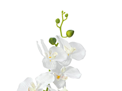 Europalms Orchidee, Kunstpflanze, weiß, 80cm – Ansicht 2