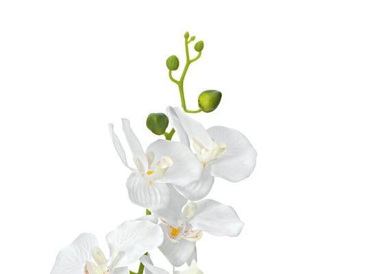 Europalms Orchidee, Kunstpflanze, weiß, 80cm – Ansicht 2