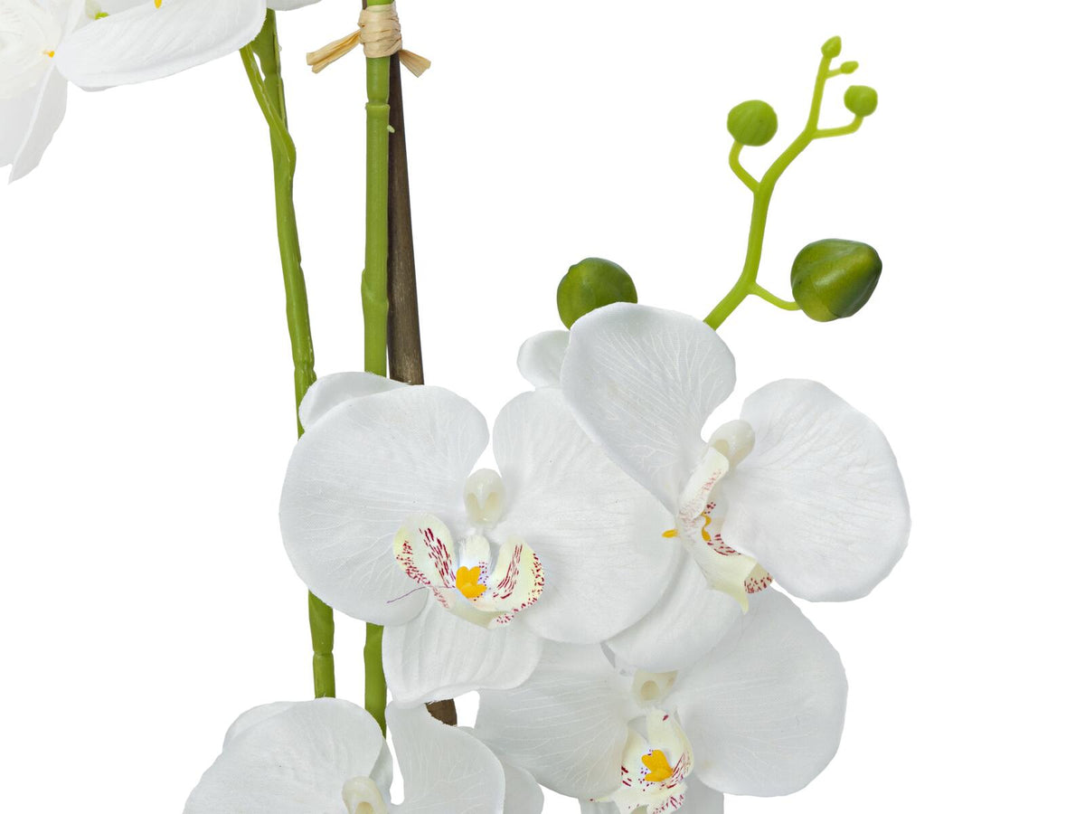 Europalms Orchidee, Kunstpflanze, weiß, 80cm – Ansicht 3