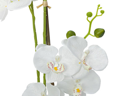 Europalms Orchidee, Kunstpflanze, weiß, 80cm – Ansicht 3
