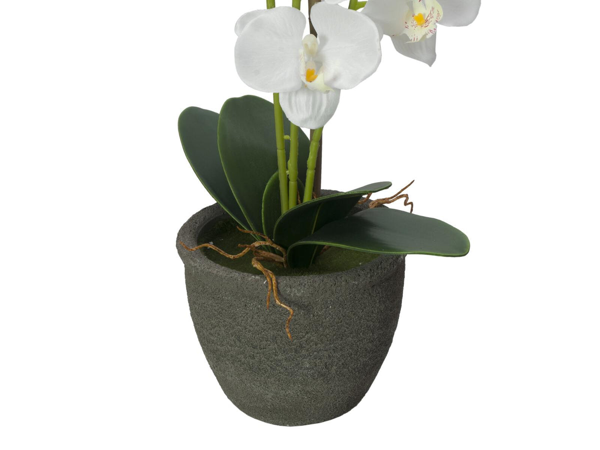 Europalms Orchidee, Kunstpflanze, weiß, 80cm – Ansicht 4