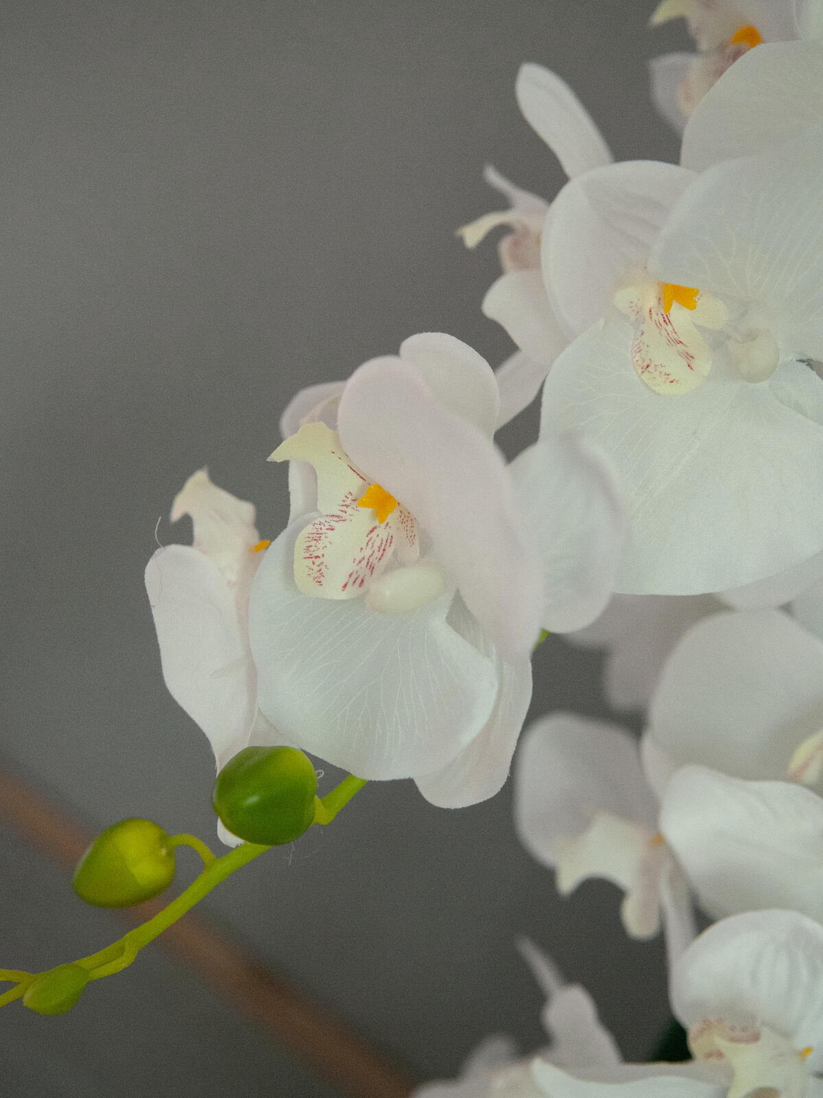 Europalms Orchidee, Kunstpflanze, weiß, 80cm – Ansicht 6