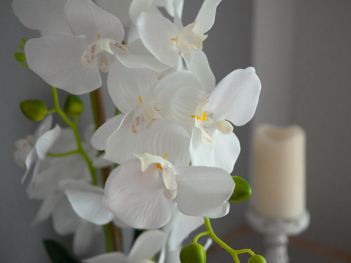 Europalms Orchidee, Kunstpflanze, weiß, 80cm – Ansicht 9