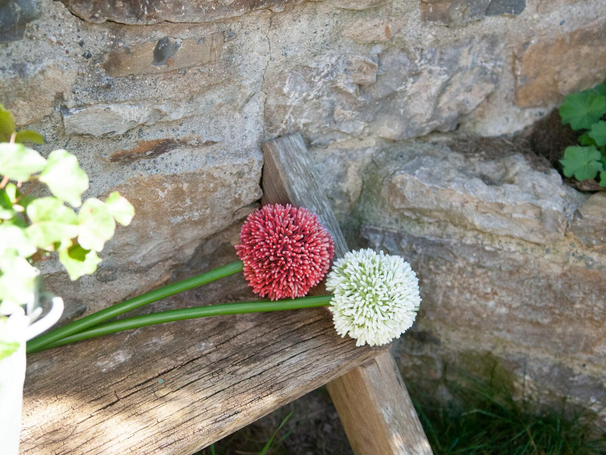 Europalms Alliumzweig, künstlich, rot, 55cm – Ansicht 4