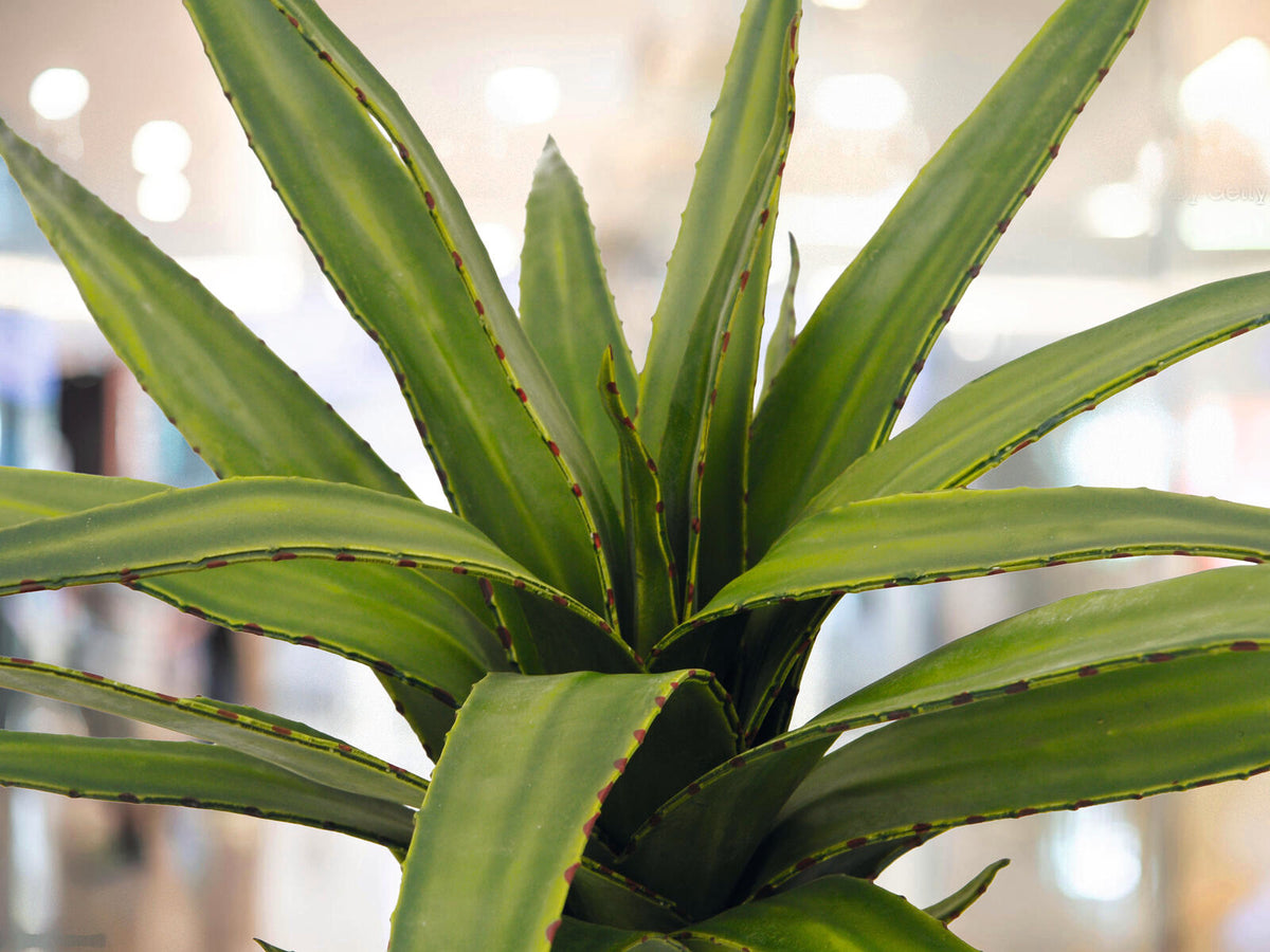 Europalms Aloe (EVA), künstlich, grün, 50cm – Ansicht 2