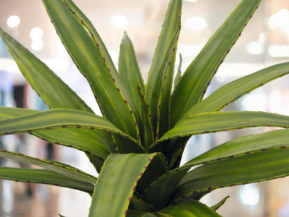 Europalms Aloe (EVA), künstlich, grün, 50cm – Ansicht 2