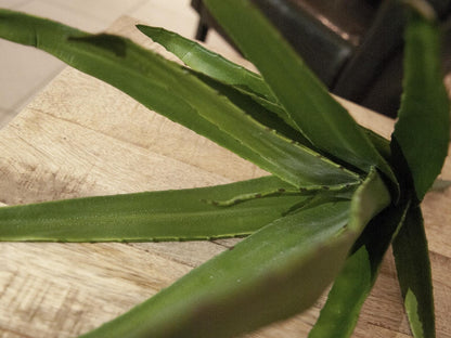 Europalms Aloe (EVA), künstlich, grün, 50cm – Ansicht 4