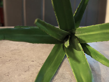 Europalms Aloe (EVA), künstlich, grün, 50cm – Ansicht 6