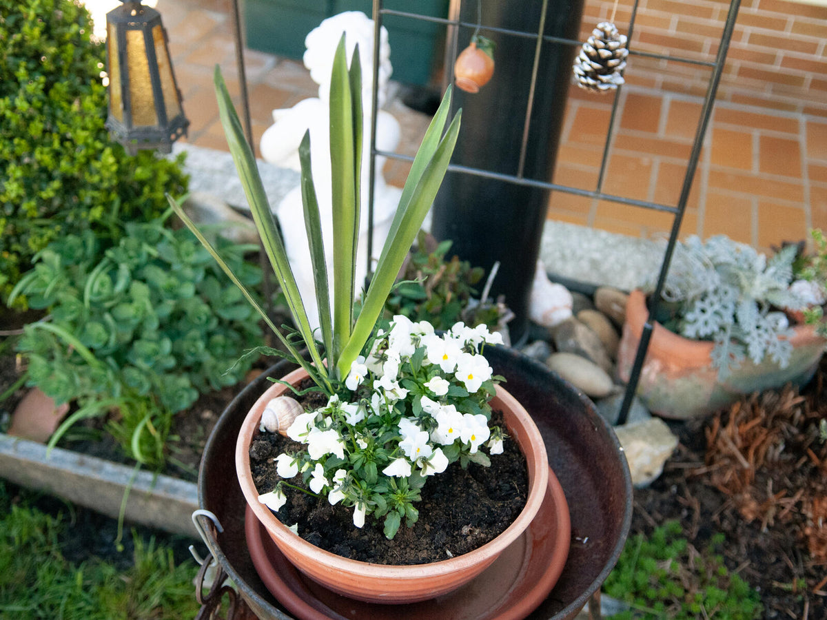 Europalms Orchideenblatt (EVA), künstlich, grün, 45cm – Ansicht 7