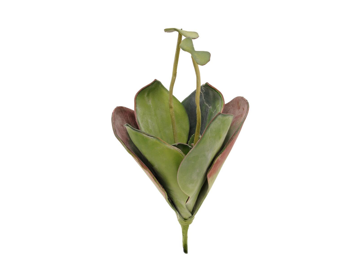 Europalms Seerose (EVA), Kunstpflanze,geschlossen, grün, 45cm