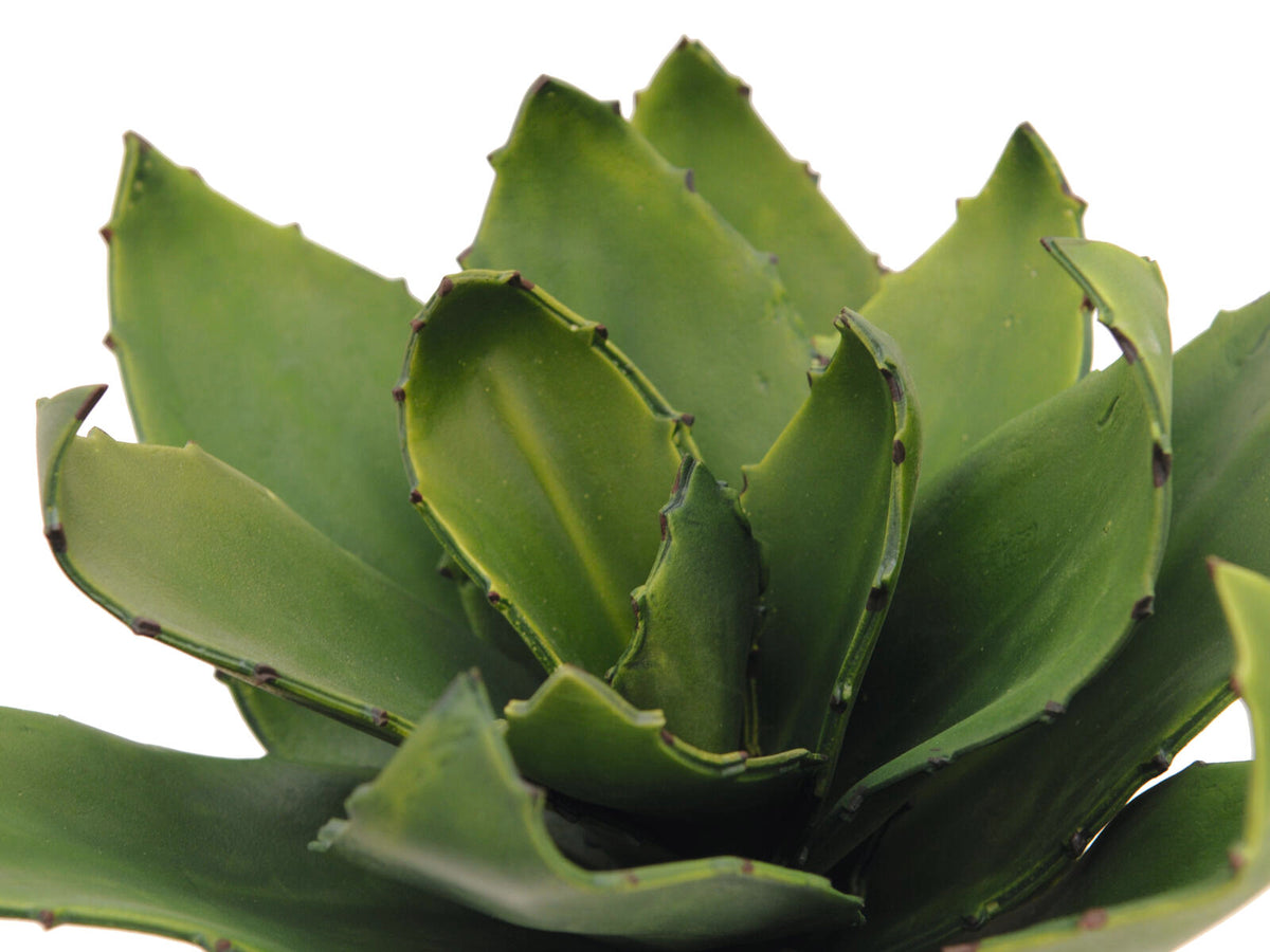 Europalms Agave (EVA), künstlich, grün, 35cm – Ansicht 2