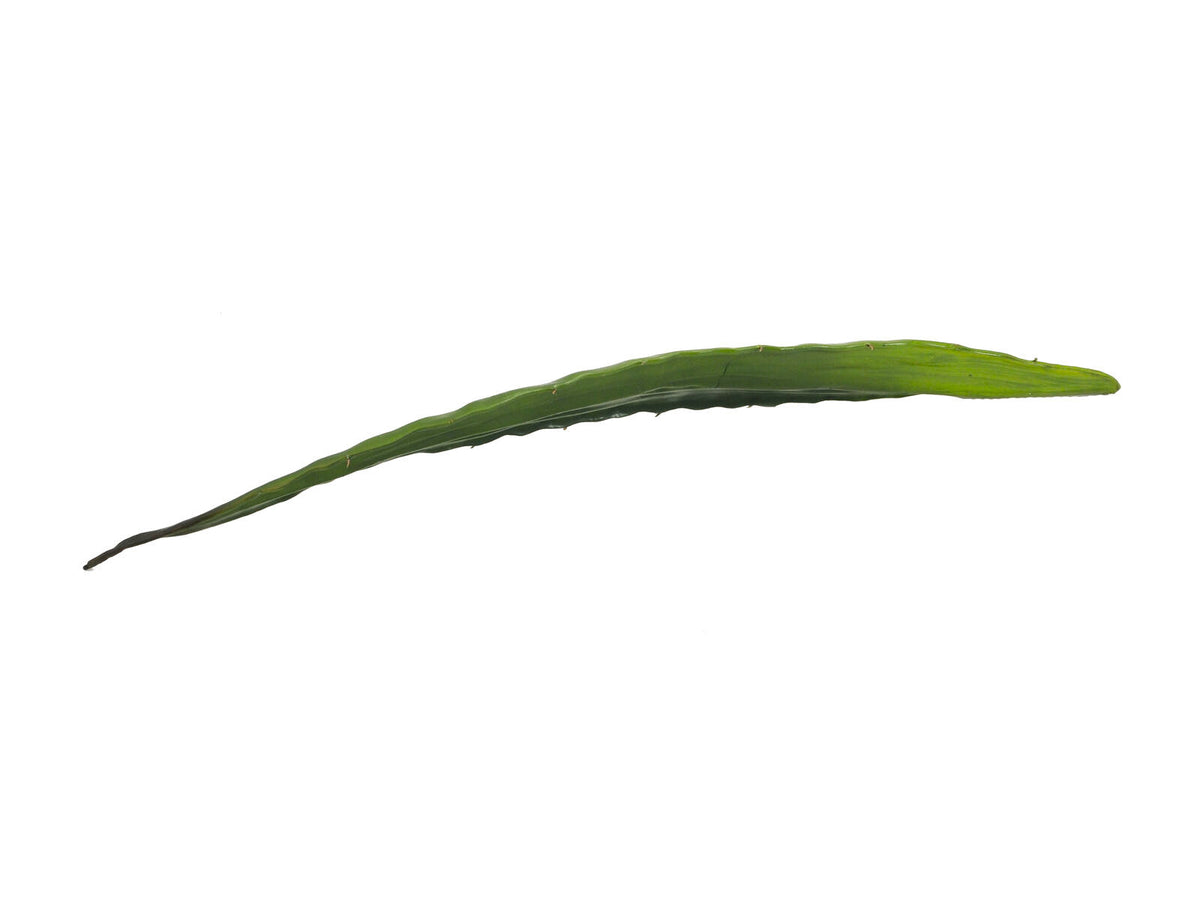 Europalms Aloeblatt (EVA), künstlich, grün, 60cm – Ansicht 2