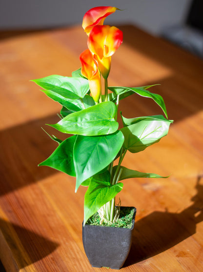 Europalms Calla mini, Kunstpflanze, gelb orange, 43cm – Ansicht 8