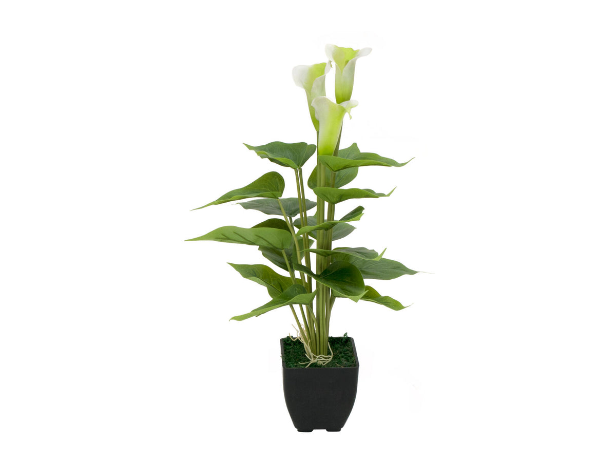 Europalms Calla mini, Kunstpflanze, weiß, 43cm