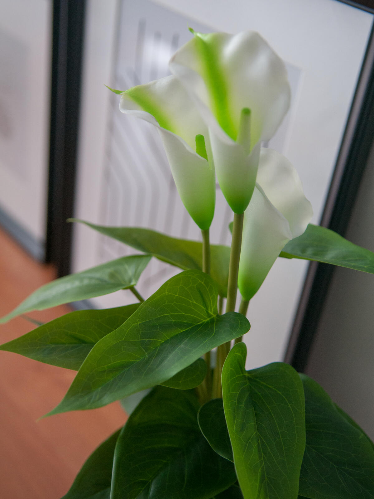 Europalms Calla mini, Kunstpflanze, weiß, 43cm – Ansicht 3