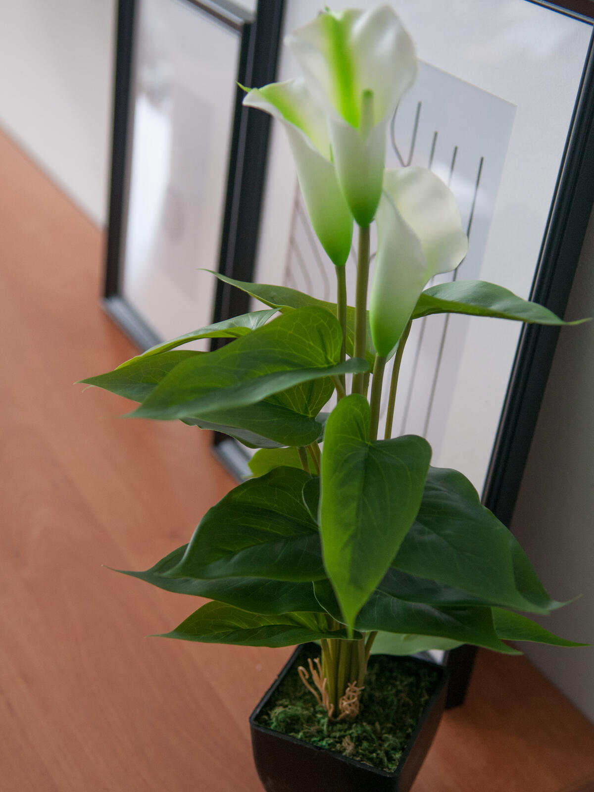 Europalms Calla mini, Kunstpflanze, weiß, 43cm – Ansicht 4