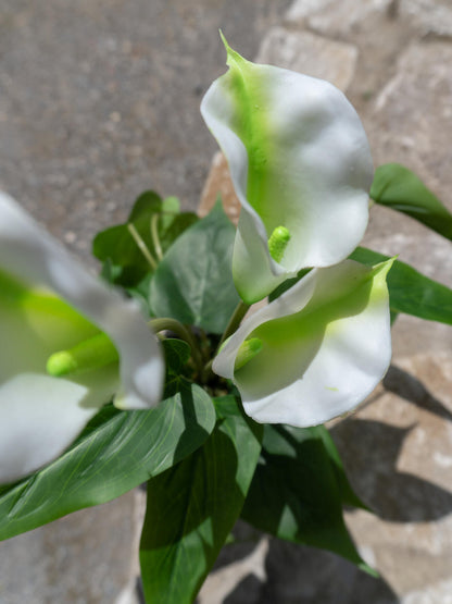 Europalms Calla mini, Kunstpflanze, weiß, 43cm – Ansicht 7