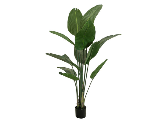 Europalms Strelitzie, Kunstpflanze, 170cm