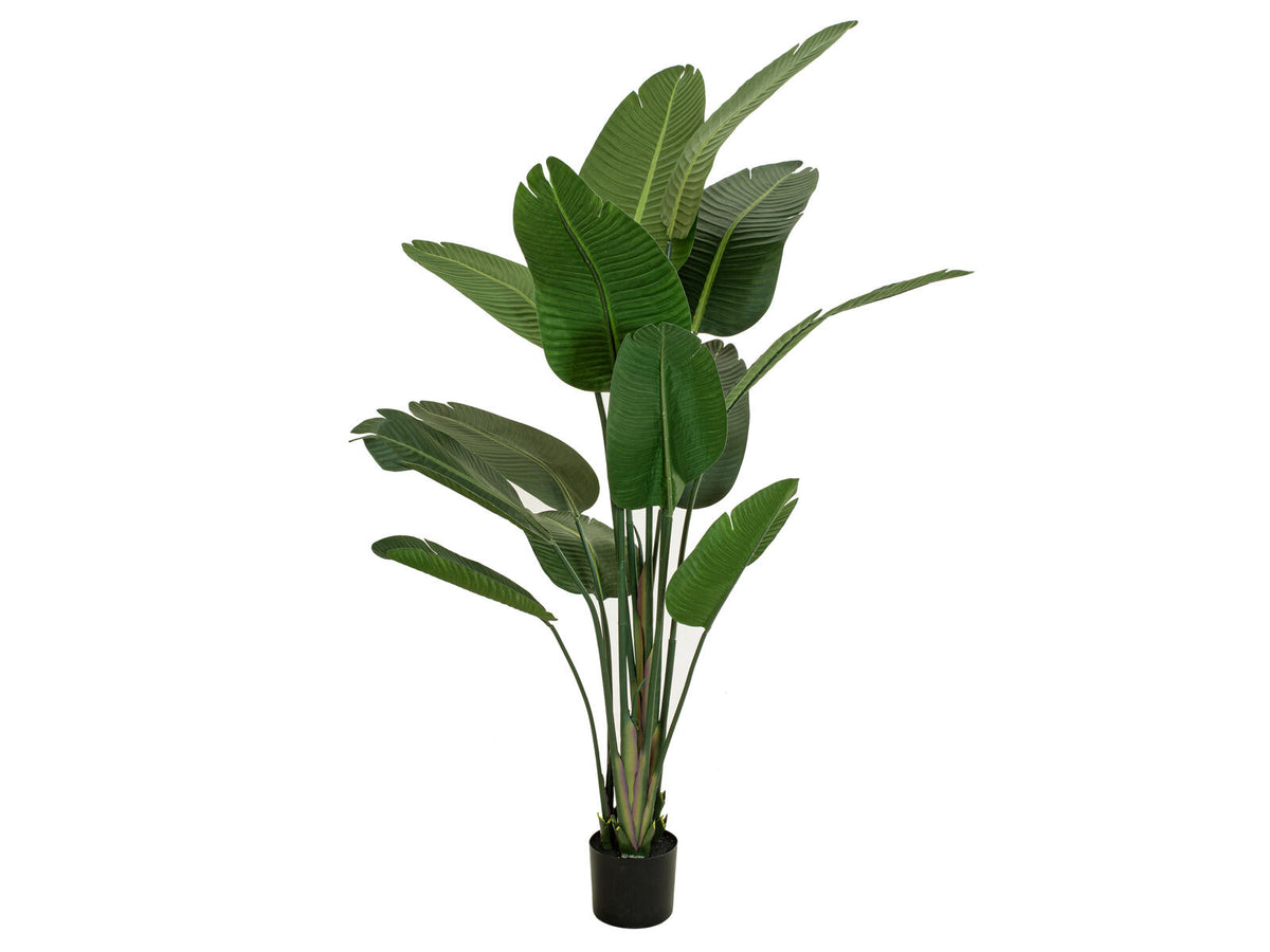 Europalms Strelitzie, Kunstpflanze, 170cm – Ansicht 2