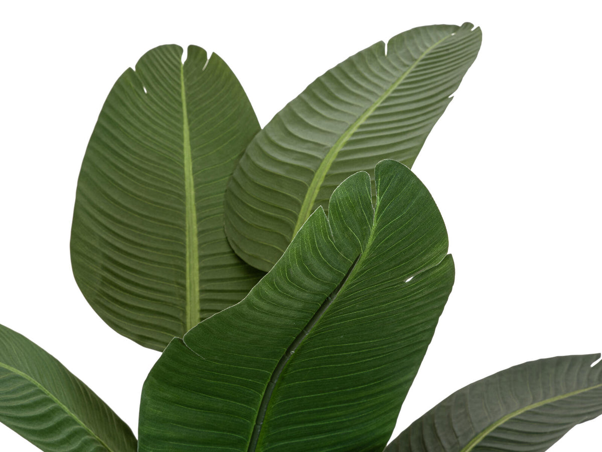 Europalms Strelitzie, Kunstpflanze, 170cm – Ansicht 3