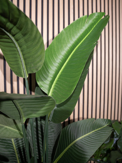 Europalms Strelitzie, Kunstpflanze, 170cm – Ansicht 4